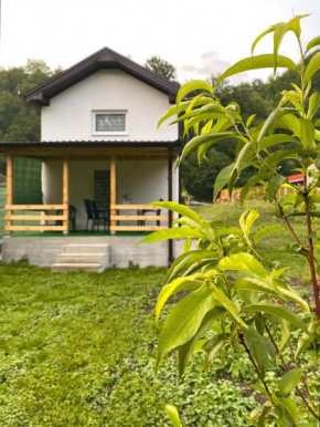 Apartman Elma